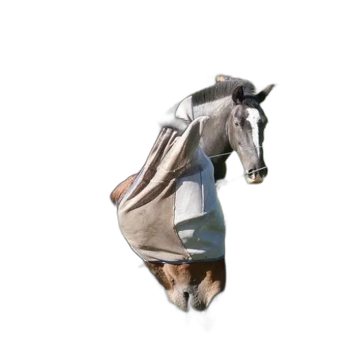 animal, hat, creature, jacket, 3d render, photorealistic, concept art, horse transparent PNG cut-out