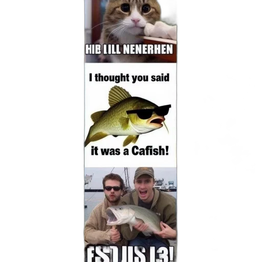 nine, images, humorously, juxtapose, cats, fish, each, featuring transparent PNG cut-out