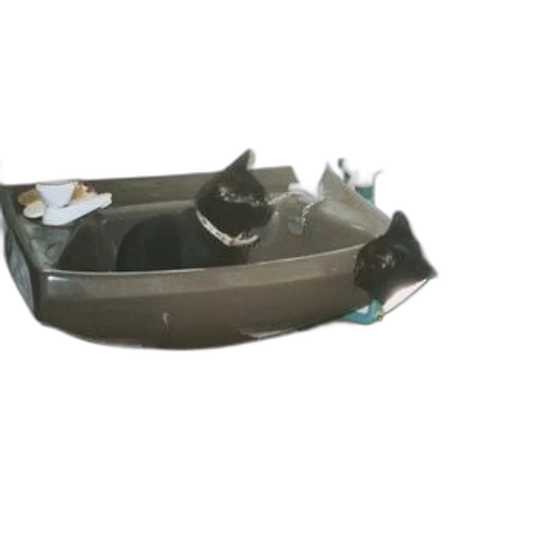 mask, crown, car, shoes, 3d render, underwater, two, black transparent PNG cut-out