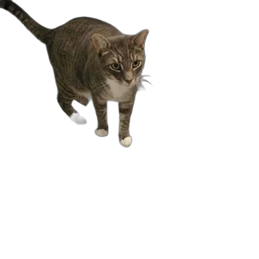 animal, creature, staff, weapon, 3d render, photorealistic, concept art, pixel art transparent PNG cut-out