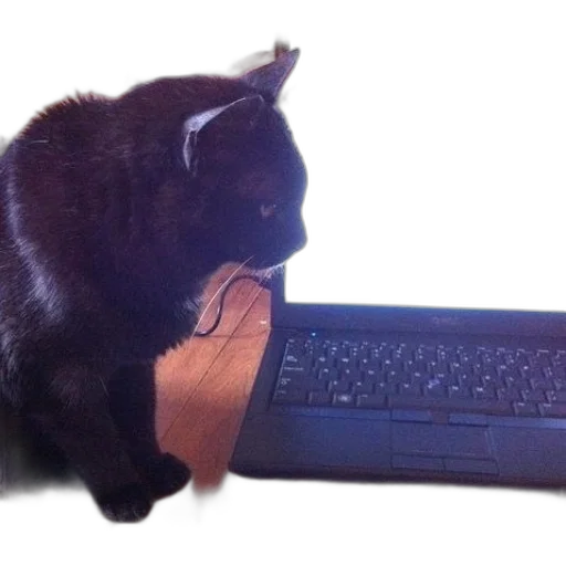 staff, animal, creature, weapon, black, cat, sits, next transparent PNG cut-out