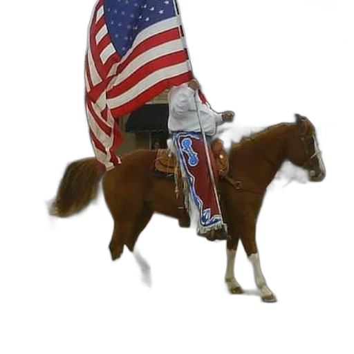 animal, jacket, weapon, staff, man, horse, holds, american transparent PNG cut-out