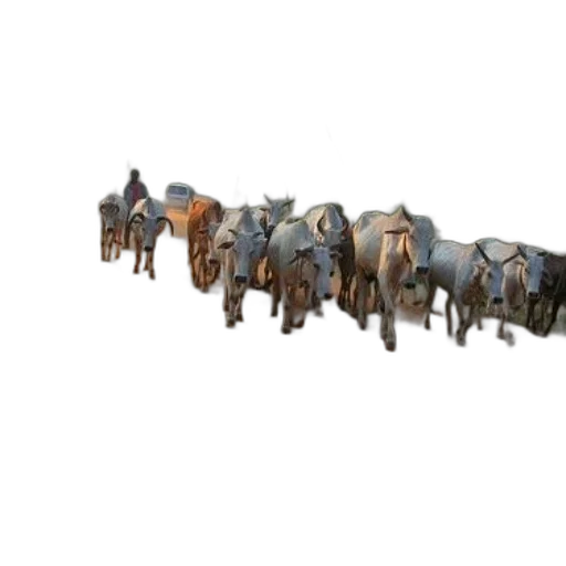 weapon, jewelry, furniture, staff, 3d render, concept art, photorealistic, herd transparent PNG cut-out