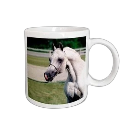 animal, photorealistic, 3d render, white, horse, black, eye, mug transparent PNG cut-out