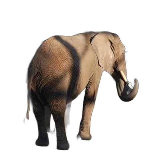animal, creature, staff, hat, 3d render, concept art, photorealistic, majestic transparent PNG cut-out