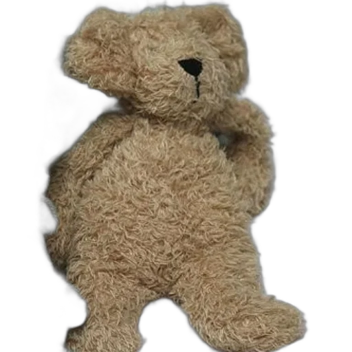 staff, creature, animal, 3d render, fluffy, brown, teddy, bear transparent PNG cut-out