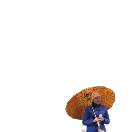 umbrella, hat, jacket, staff, concept art, 3d render, anime, cartoon transparent PNG cut-out