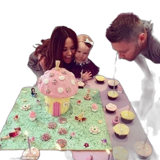 birthday, celebration, large, decorated, cake, shaped, like, house transparent PNG cut-out