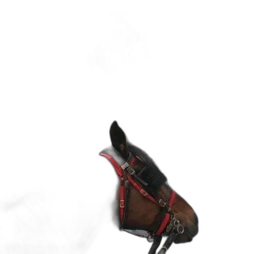 shoes, weapon, staff, mask transparent PNG cut-out