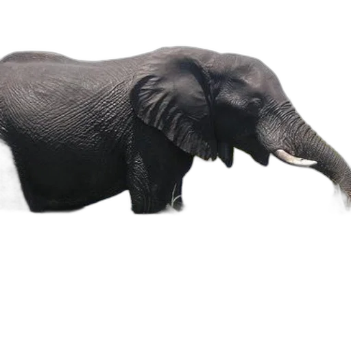 animal, creature, staff, weapon, 3d render, photorealistic, concept art, oil painting transparent PNG cut-out