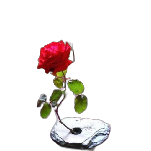 flower, jewelry, crown, bottle, 3d render, photorealistic, oil painting, pixel art transparent PNG cut-out