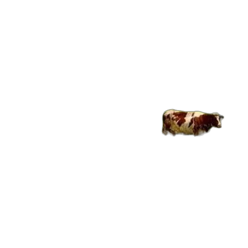animal, food, creature, weapon, pixel art, photorealistic, 3d render, concept art transparent PNG cut-out