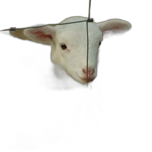 animal, mask, staff, hat, 3d render, photorealistic, concept art, white transparent PNG cut-out