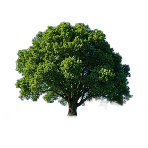 tree, animal, hair, crown, photorealistic, 3d render, concept art, pixel art transparent PNG cut-out
