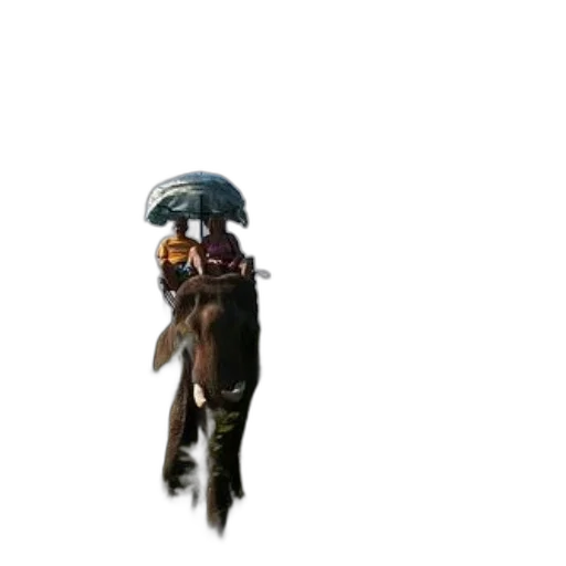staff, hat, weapon, creature, concept art, pixel art, fantasy art, 3d render transparent PNG cut-out