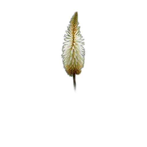 flower, hair, staff, crown, 3d render, photorealistic, concept art, pixel art transparent PNG cut-out