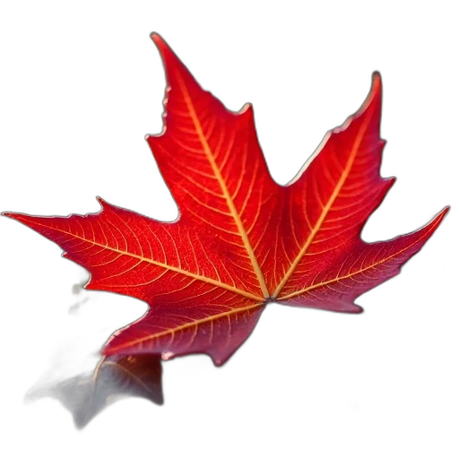 crown, flower, tree, photorealistic transparent PNG cut-out