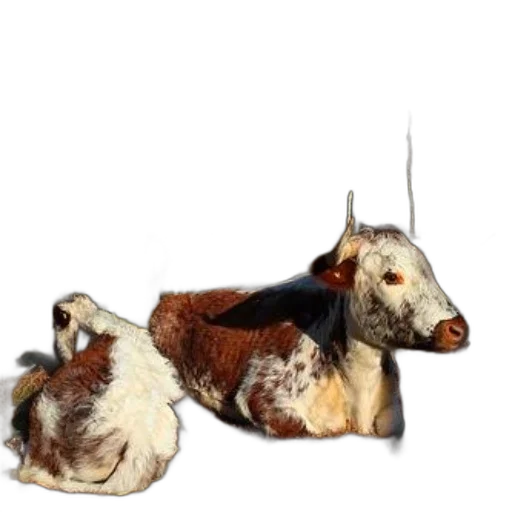 animal, crown, hair, creature, 3d render, photorealistic, concept art, oil painting transparent PNG cut-out