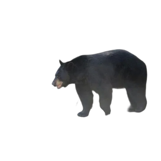 animal, creature, weapon, staff, 3d render, concept art, photorealistic, pixel art transparent PNG cut-out
