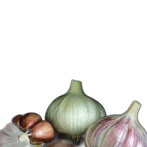 food, crown, flower, bottle, photorealistic, 3d render, oil painting, watercolor transparent PNG cut-out