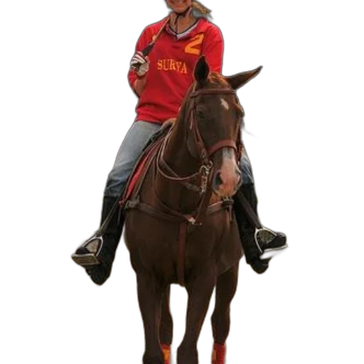 animal, staff, concept art, person, red, shirt, word, surya transparent PNG cut-out