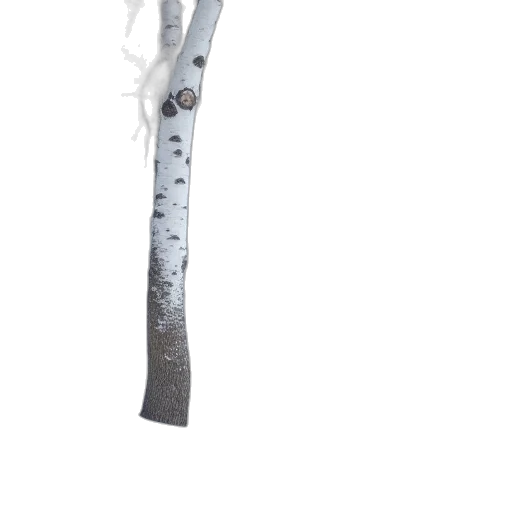 staff, weapon, sword, tree, 3d render, photorealistic, concept art, two transparent PNG cut-out