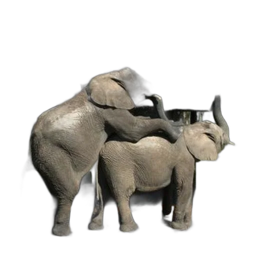 animal, staff, 3d render, concept art, photorealistic, two, elephants, playfully transparent PNG cut-out