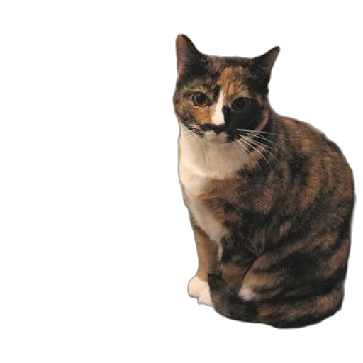 animal, staff, creature, crown, photorealistic, 3d render, concept art, calico transparent PNG cut-out