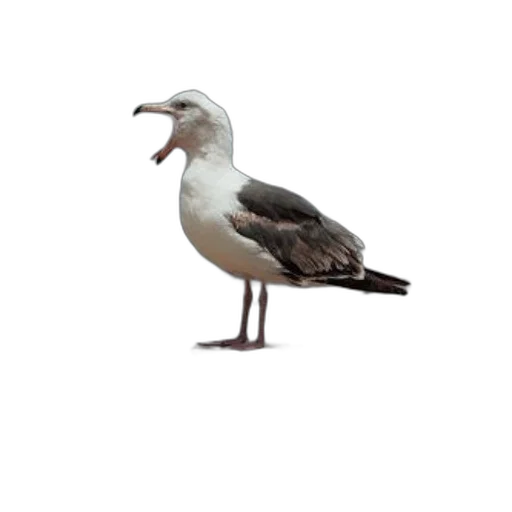 animal, staff, creature, food, 3d render, photorealistic, concept art, pixel art transparent PNG cut-out