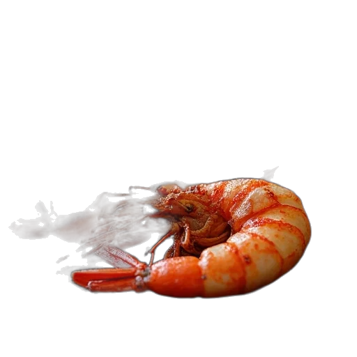 food, animal, creature, jewelry, 3d render, photorealistic, concept art, underwater transparent PNG cut-out