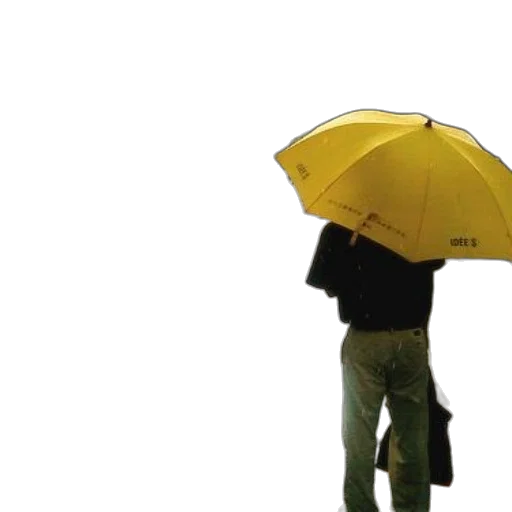 umbrella, jacket, hat, staff, 3d render, photorealistic, concept art, rain transparent PNG cut-out