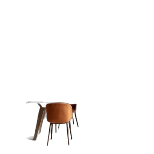 furniture, hair, hat, animal transparent PNG cut-out