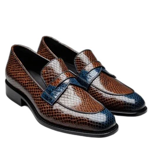 shoes, pair, brown, blue, patterned, loafers, snake, skin transparent PNG cut-out