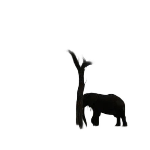 animal, creature, dragon, hair, concept art, pixel art, 3d render, photorealistic transparent PNG cut-out