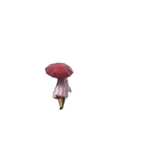 hat, umbrella, flower, dress transparent PNG cut-out