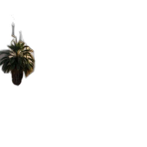 tree, jewelry, umbrella, hair, 3d render, photorealistic, vaporwave, concept art transparent PNG cut-out