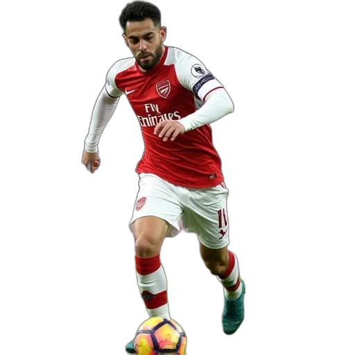 weapon, jacket, animal, mesut transparent PNG cut-out
