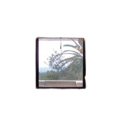 tree, umbrella, furniture, building, photorealistic, 3d render, oil painting, rain transparent PNG cut-out