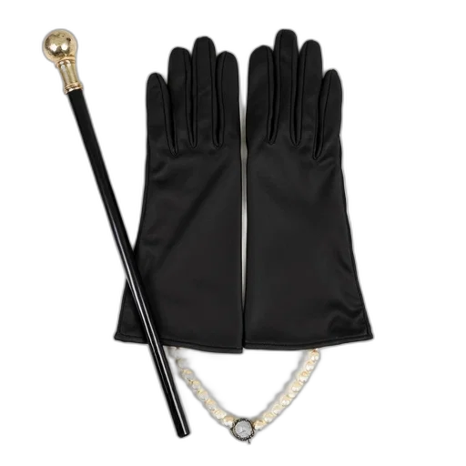 staff, umbrella, jewelry, weapon, pair, black, gloves, white transparent PNG cut-out