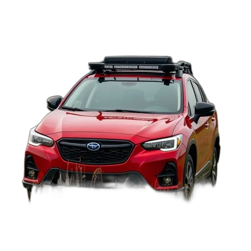 car, red, black, roof, rack, parked, field, tall transparent PNG cut-out
