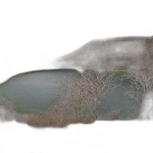 tree, hair, car, shoes, photorealistic, 3d render, concept art, watercolor transparent PNG cut-out