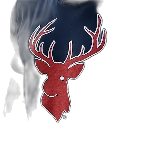creature, mask, animal, crown transparent PNG cut-out