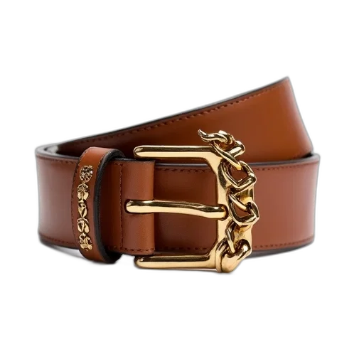 jewelry, crown, brown, leather, belt, gold, buckle, chain transparent PNG cut-out