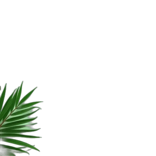 tree, hair, crown, 3d render, photorealistic, green, earth tones, summer transparent PNG cut-out