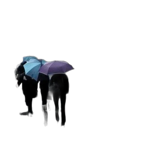 umbrella, hat, jacket, dress, concept art, pixel art, 3d render, photorealistic transparent PNG cut-out