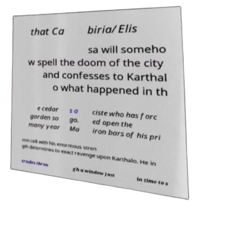 poster, text, japanese, featuring, character, named, biria, elis transparent PNG cut-out