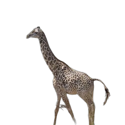 animal, creature, staff, jewelry, 3d render, concept art, photorealistic, fantasy art transparent PNG cut-out