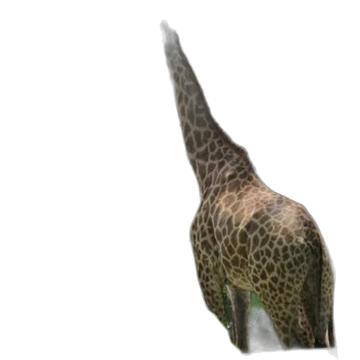 animal, creature, staff, dragon, 3d render, photorealistic, concept art, three transparent PNG cut-out