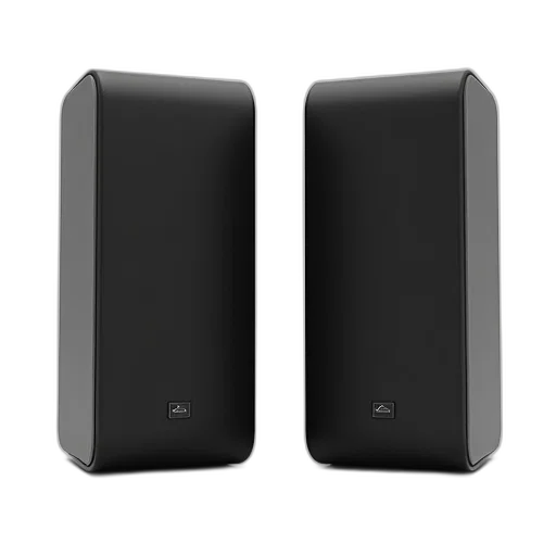 two, identical, black, speakers, displayed, side, against, white transparent PNG cut-out