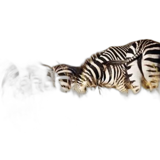 animal, hair, creature, jewelry, concept art, photorealistic, 3d render, group transparent PNG cut-out